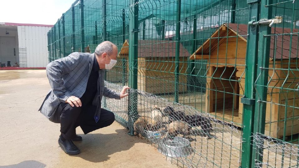Ordu Büyükşehir Belediyesi Genel Sekreteri Coşkun Alp “19 ilçede yoğun şekilde çalışıyoruz”