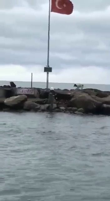 Mendirek üzerinde mahsur kalan köpeği itfaiye kurtardı