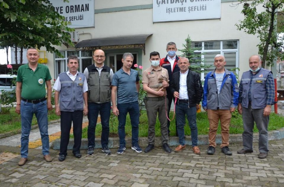 Sevimli evcil maymuna vatandaşlar şefkat elini uzattı