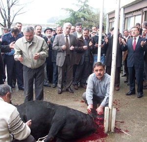 6. MAZBATA ŞEREFİNE KURBAN KESİLDİ