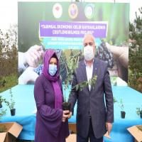 Ordu’nun yeni gözdesi mavi yemiş
