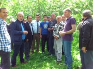 FINDIK HASTALIK VE ZARARLILARI İLE FINDIKTA ENTEGRE MÜCADELE BİLGİLENDİRME TOPLANTISI DÜZENLENDİ