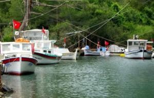 MEDRESEÖNÜ BALIKÇI BARINAĞINA KAVUŞTU