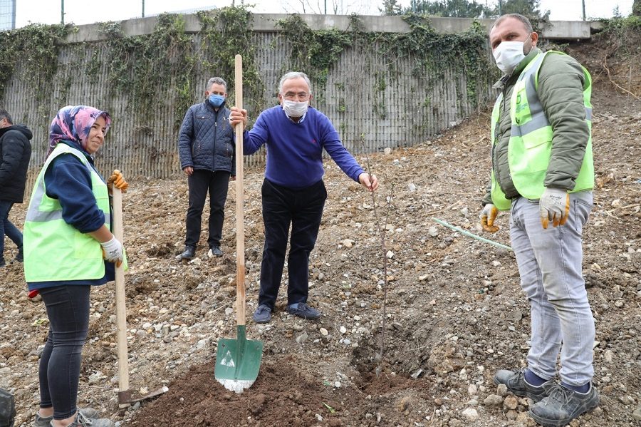 Farklı bir proje... GÜL, KİRAZ, KESTANE... DEVAMI GELECEK