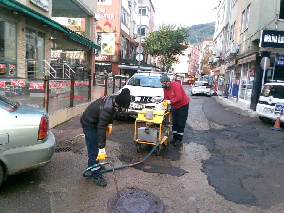 Haşerelere kışlak mücadelesi başladı