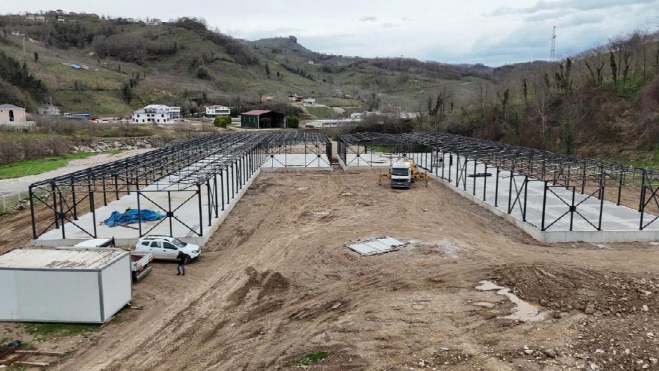 Fatsa’ya dev yatırım...Fatsa, başkan Güler ile üretim havzası oluyor