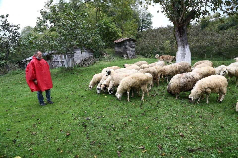 Başkan Güler’in projeleri gelir kapısı oldu