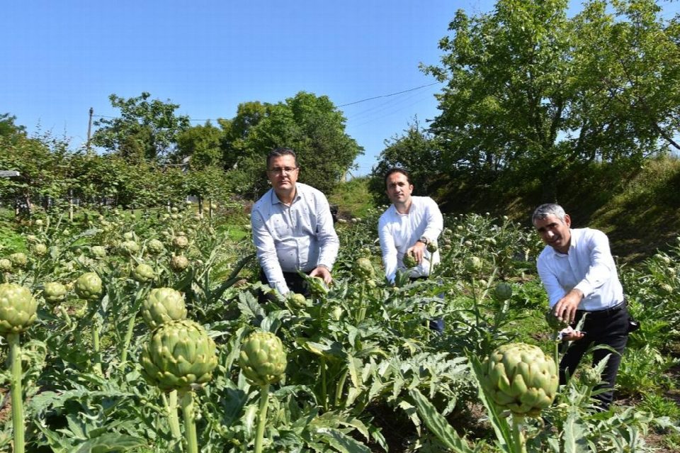 Ordu’da tarımsal ürün çeşitliliği artıyor