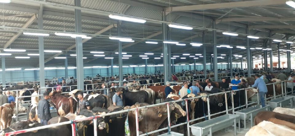 Karadeniz’in en büyüğünde hazırlıklar tamam