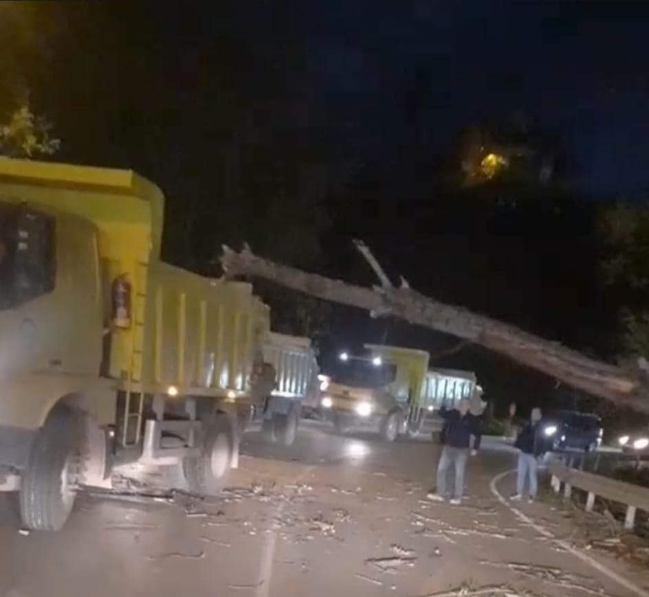 Fırtına faciaya neden olacaktı
