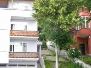 ELEKTRİK DİREĞİ AĞACIN İÇİNDEN GEÇİYOR