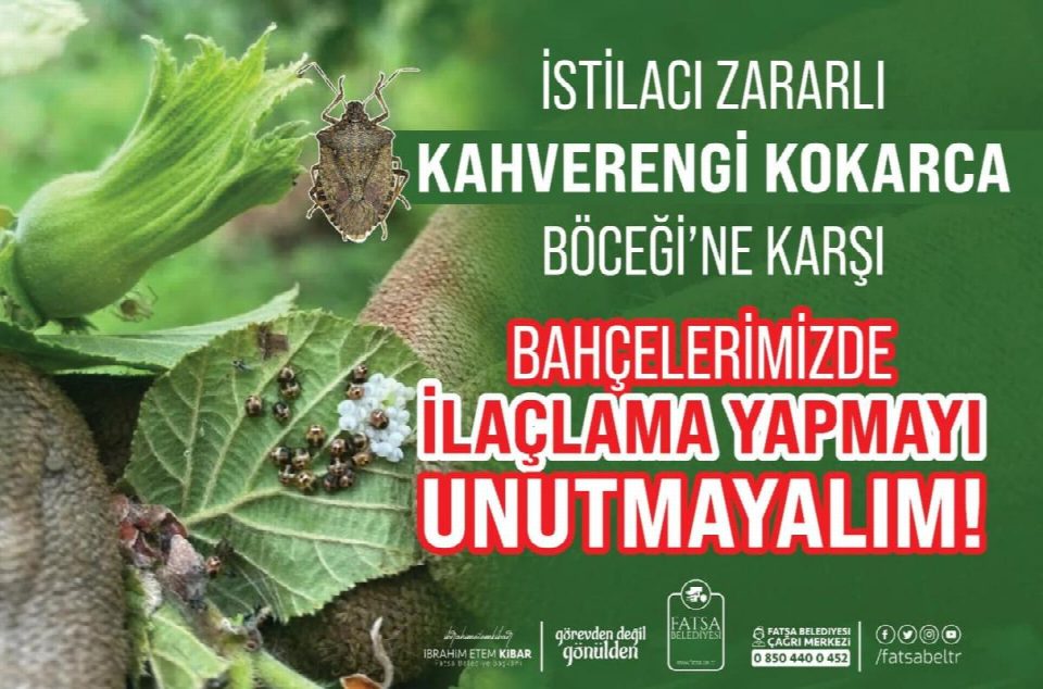 KOKARCAYA KARŞI İLAÇLAMA YAPMAYI UNUTMAYIN