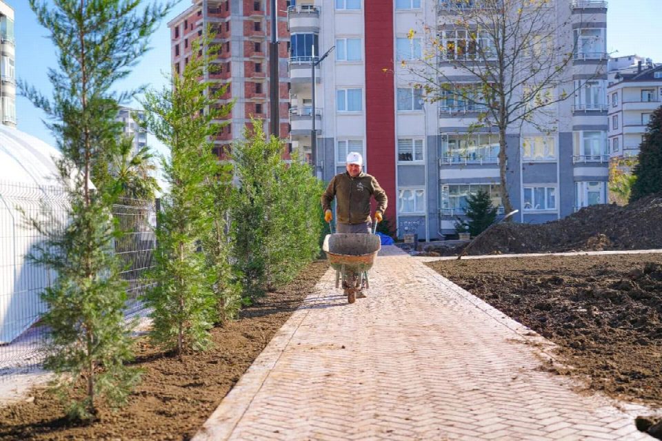 Kapalı yüzme havuzunun çevresi yeşillendiriliyor