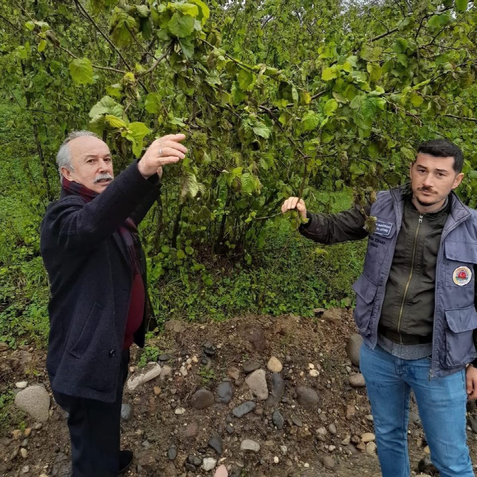 Yüksek kesimlerde hasar %100!