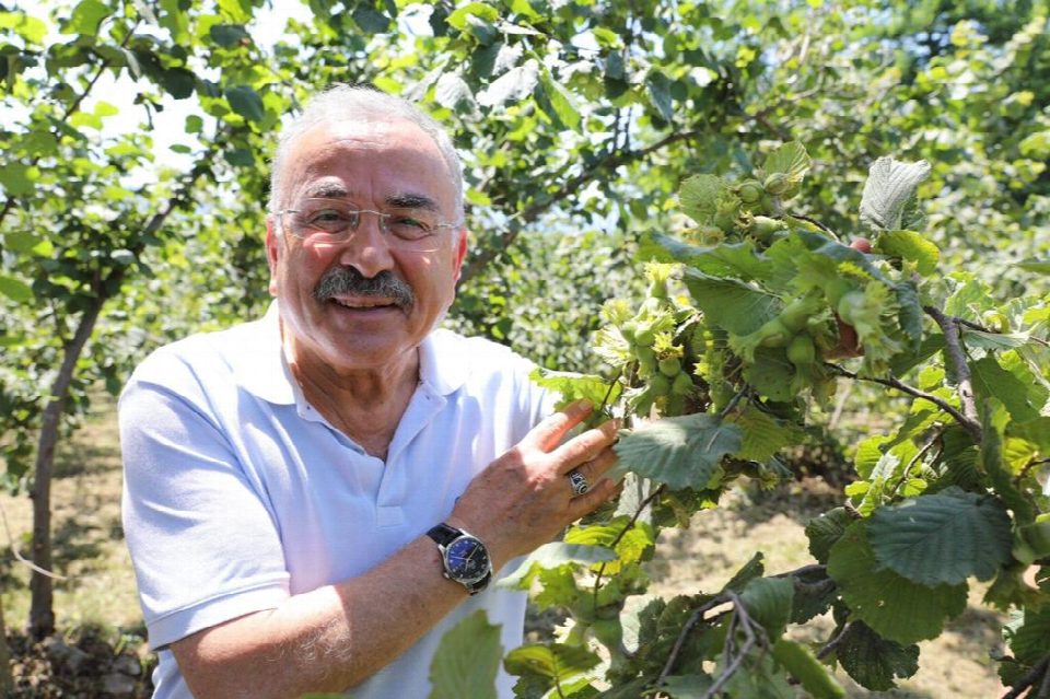 Fındık verimliliği (FINVER) projesinde büyük başarı