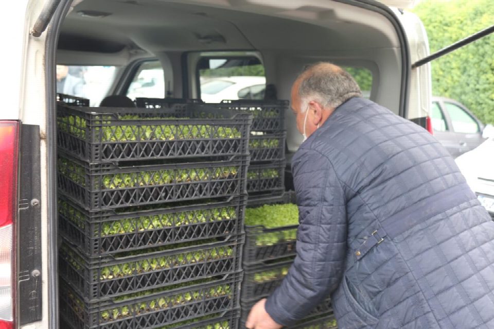 Başkan Güler’in tarıma verdiği destek büyüyor