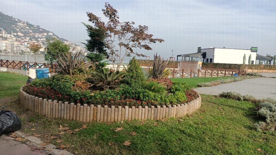 Ordu’da mevsimlik çiçekler toprakla buluşuyor