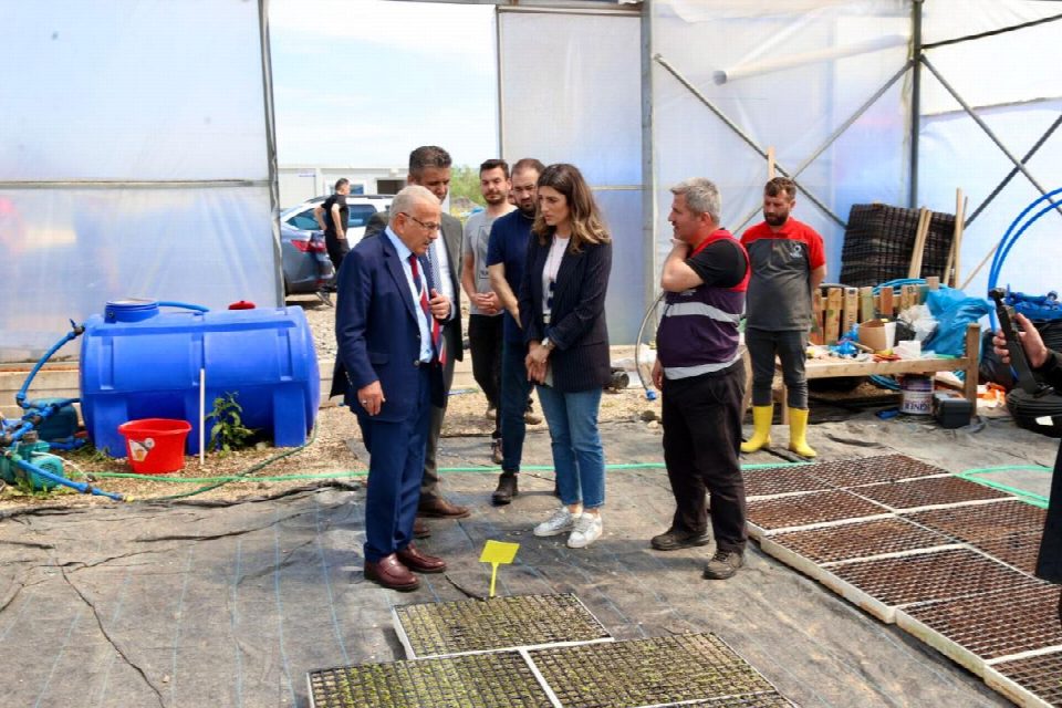 Büyükşehir seralarında üretilen çiçekler şehre renk katıyor.. Başkan Güler: “Şehrimizin güzelliklerini kendi üretimimizle sağlıyoruz”