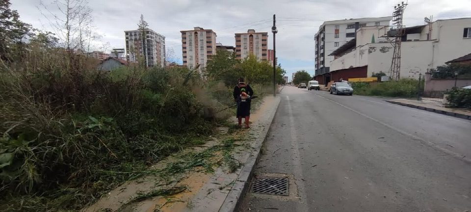 Fatsa belediyesi park ve bahçeler müdürlüğünden yoğun çalışma