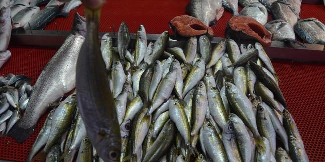 Karadeniz'de durum vahim