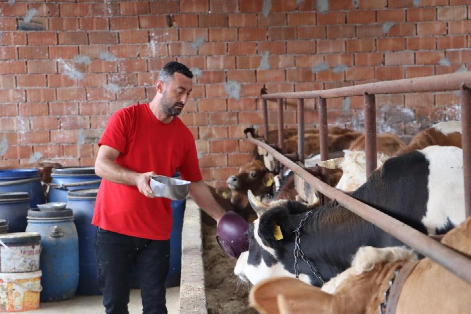 Sütün değeri artıyor, üreticinin yüzü gülüyor