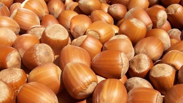 Tarsim Topladığı Primden Fazla Tazminat Ödedi