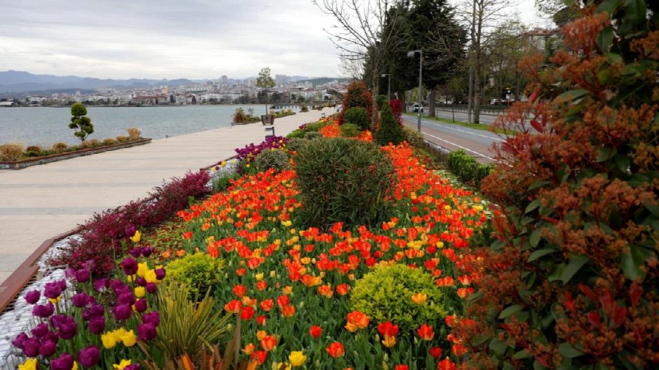 Ordu’da çiçeklerle görsel şölen
