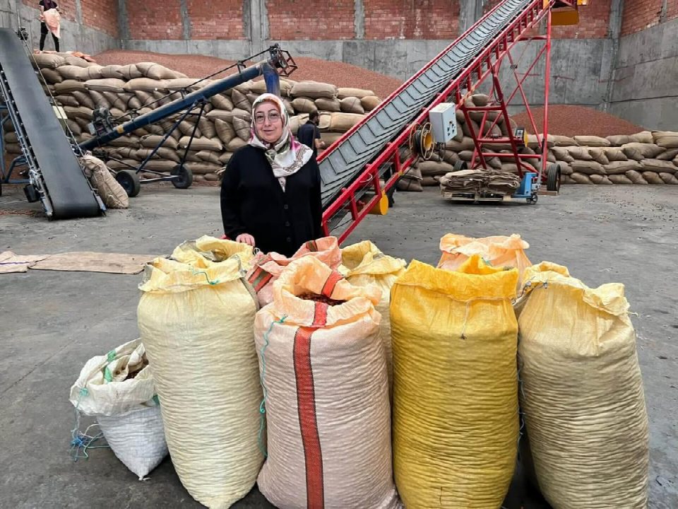 TMO’da 6 gün sonra 50 randıman barajını üretici Hatice Yılmaz aştı