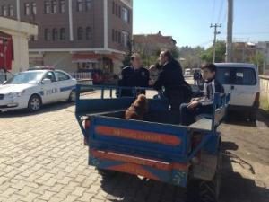 Artık Patpatlar Trafikte Cirit Atamayacak