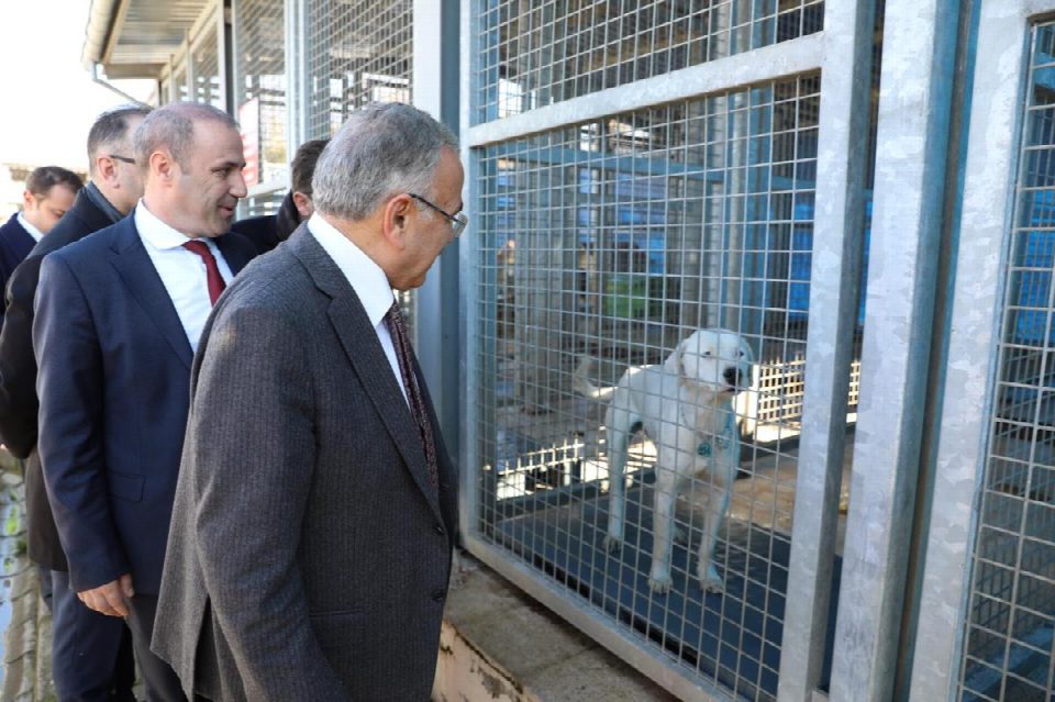 MODERN ŞEHİRCİLİK ANLAYIŞINA UYGUN HAYVAN BARINAĞI