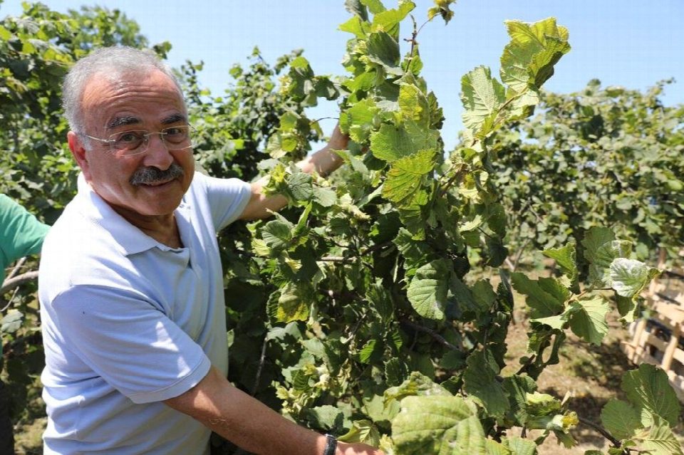 “Fındık dalda aklın işçiden kalmasın” projesine ilgi artıyor