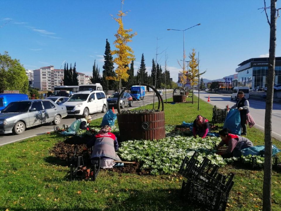 Mevsimlik çiçekler toprakla buluşuyor