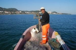 TAZE BALIK KAYIKLARDAN ALINIR