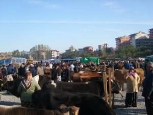 KURBAN BAYRAMI ÖNCESİ KURBANLIK ALACAK VATANDAŞLAR DİKKATLİ OLSUN