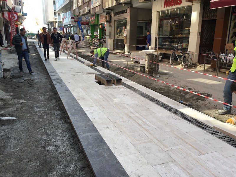 Fatsa’da Yayalaştırma Projesi