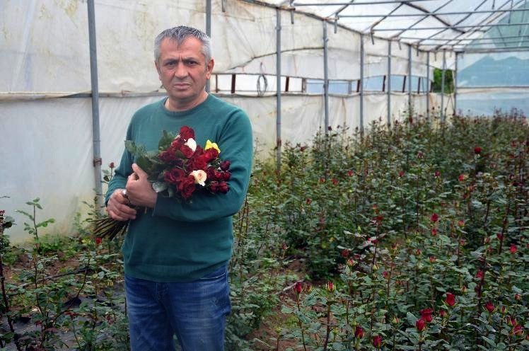 Kesme çiçekler ”Anneler” için kesiliyor