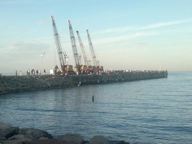 Fındığın merkezi Ordu, fındık yağı ithal etti
