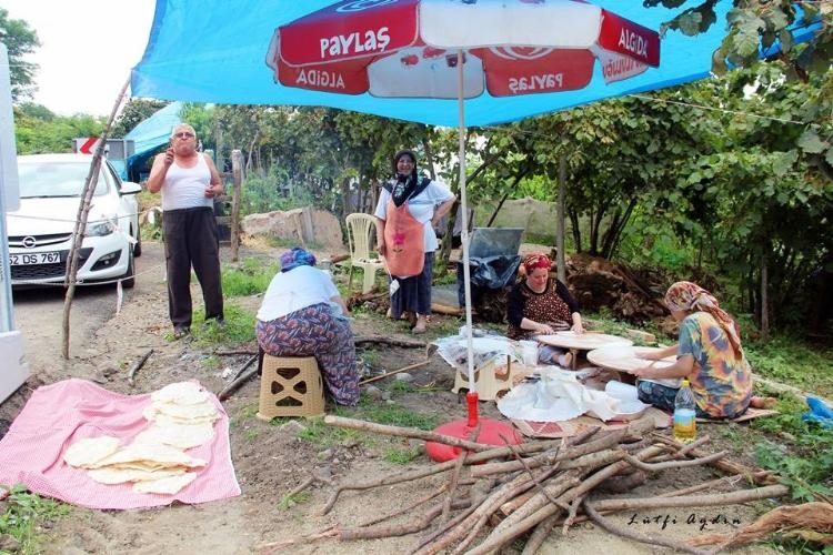 Fındık sezonu hazırlıkları başladı