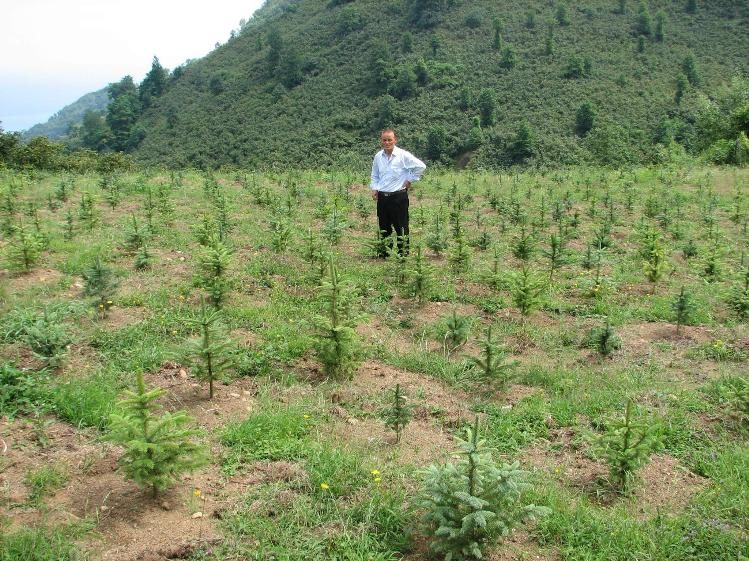 Ordu’da 14 yılda 17 milyon fidan dikildi
