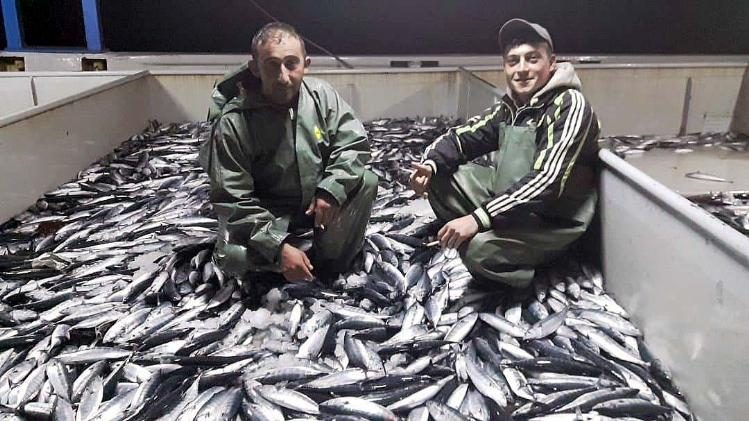 Karadeniz’de palamut ve istavrit bereketi