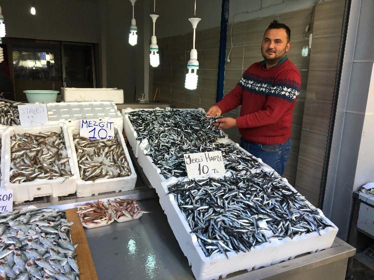 Hamsi fiyatları dolar gibi