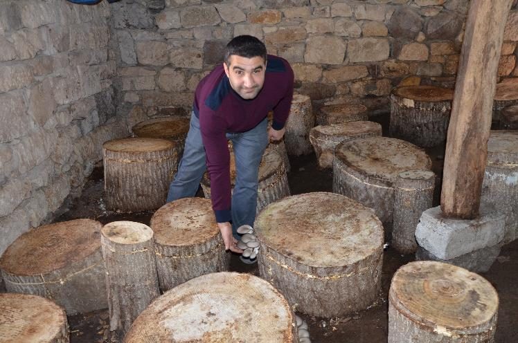 İstiridye mantarı hayatını değiştirdi