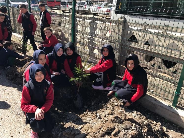 Ordu’da sosyal maksatlı ağaçlandırmada 2 bin fidan dikildi