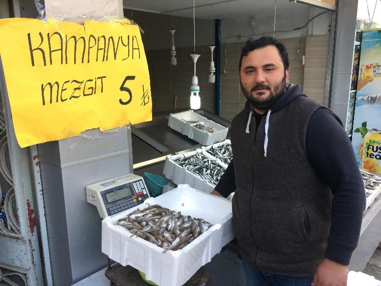 Hamsinin tahtını mezgit aldı