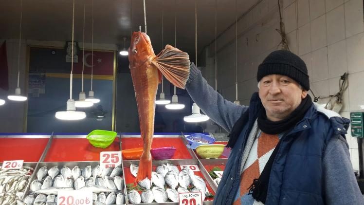 Uçar balığı ağa takıldı