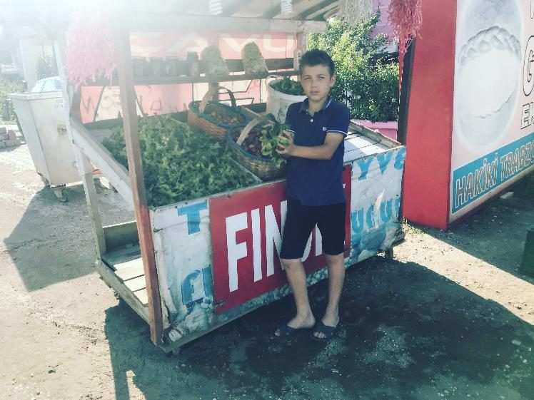 Yaş fındığın kilosu 15 TL