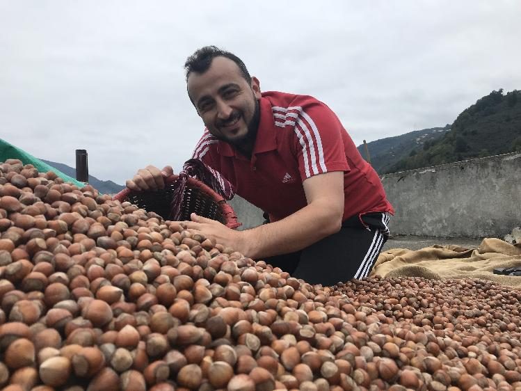 'Kahverengi altınlar'ı için nöbet tutuyorlar