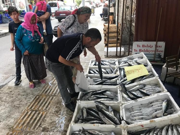 Karadeniz’de palamut bolluğu