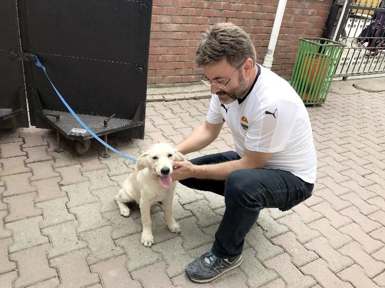 Sahipsiz köpeği polis sahiplendi
