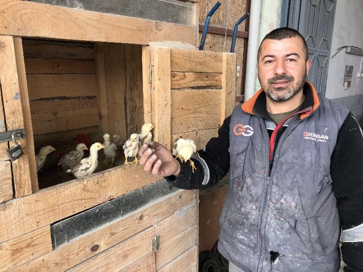 Hayvan sevgisini iş yerine taşıdı